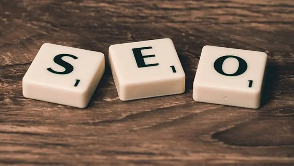 Seo Uzmanı Olmak İçin Hangi Bölüm Okunmalı?